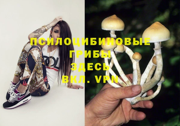 spice Липки