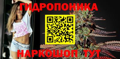 стаф Изобильный