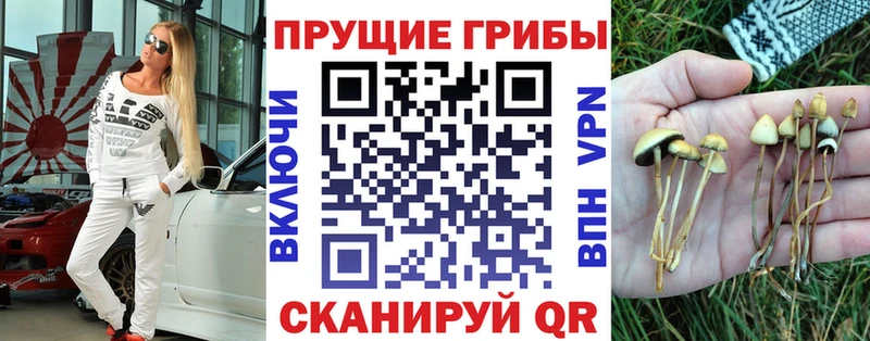 сколько стоит  Надым  Галлюциногенные грибы Psilocybe 